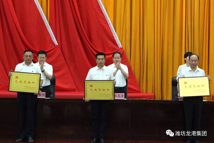 【喜訊】昌邑市龍港無機(jī)硅有限公司黨支部喜獲“昌邑市先進(jìn)黨組織”榮譽(yù)稱號